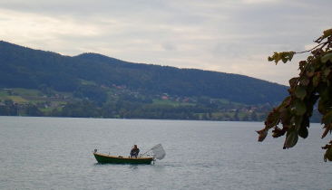 Klicken Sie auf das Bild, um es zu vergrößern